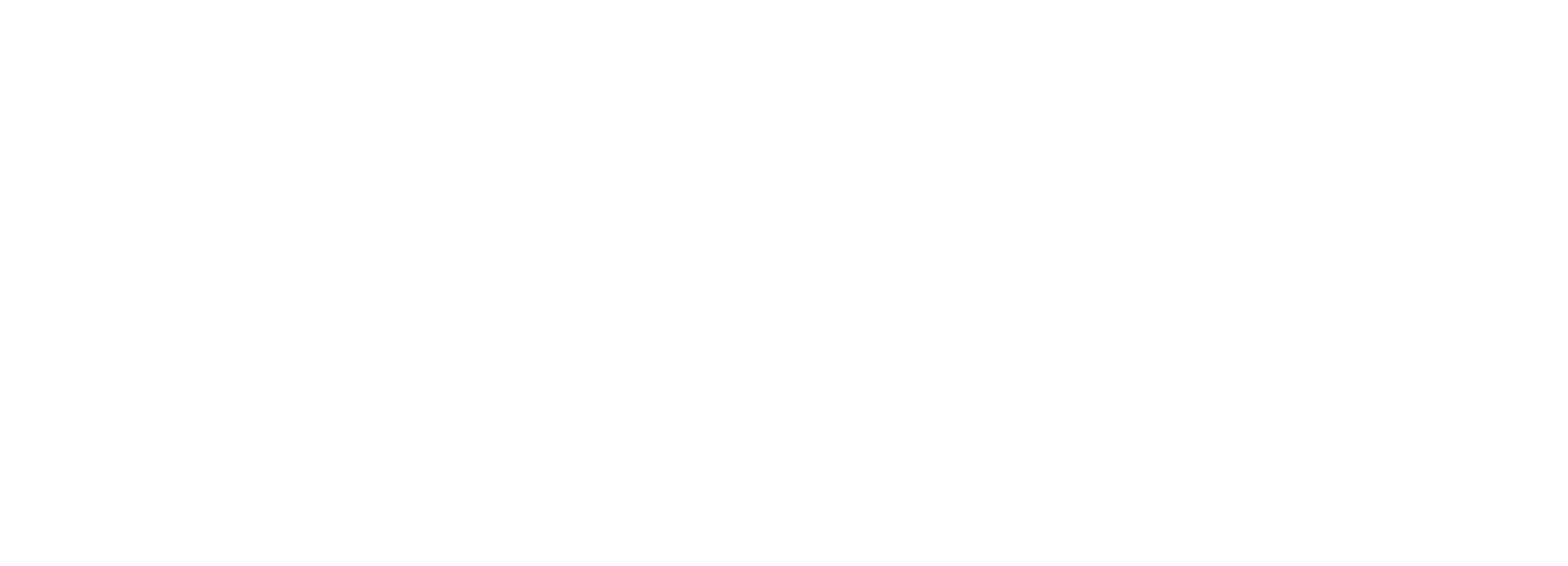 Poyraz Network
